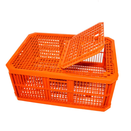 Poultry Range 2